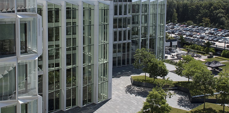 Sustainable management 