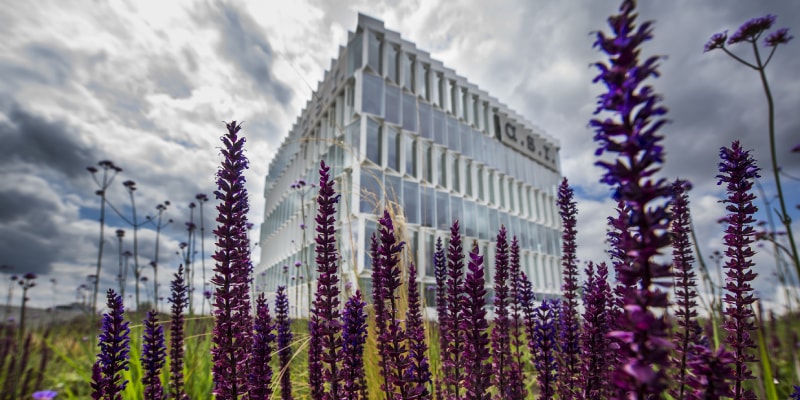 asr gebouw met heide-daktuin